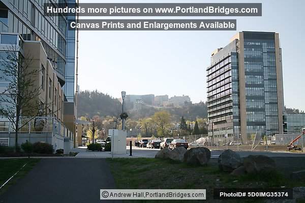 Portland South Waterfront