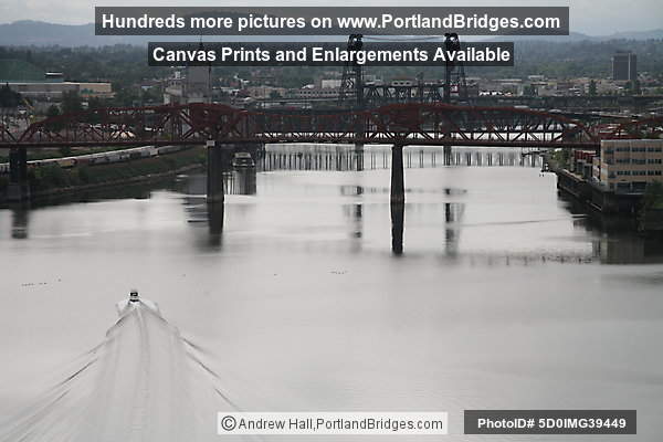 Broadway Bridge, Steel Bridge,Willamette River, from Fremont Bridge (Portland, Oregon)