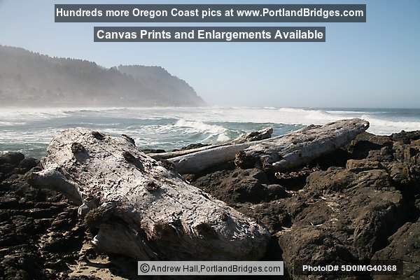 Oregon Coast California Redwoods