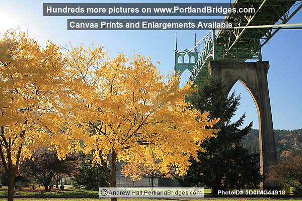 St. Johns Bridge, Fall Leaves (Portland, Oregon)