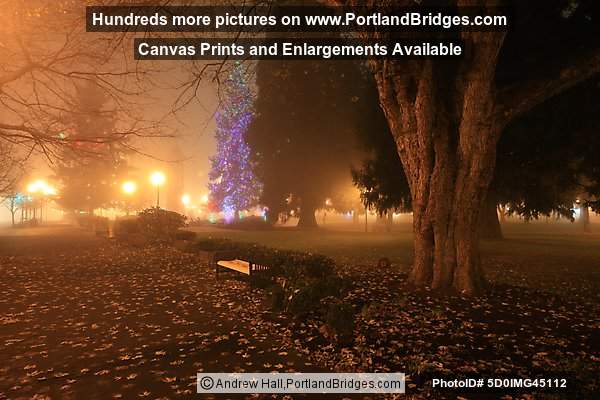 Esther Short Park Christmas Tree, Vancouver, WA