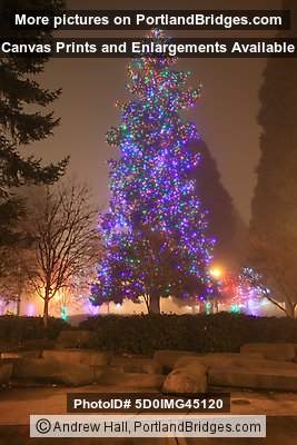 Esther Short Park Christmas Tree, Vancouver, WA, 2008