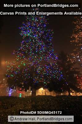 Esther Short Park Christmas Tree, Vancouver, WA