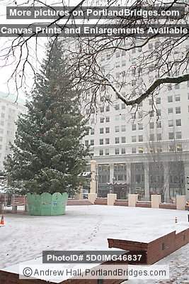 Pioneer Court House Square, Christmas Tree, Snow, December 2008 (Portland, Oregon)