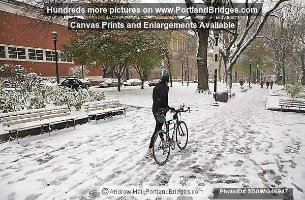 Portland SW Park Blocks, Snow, December 2008