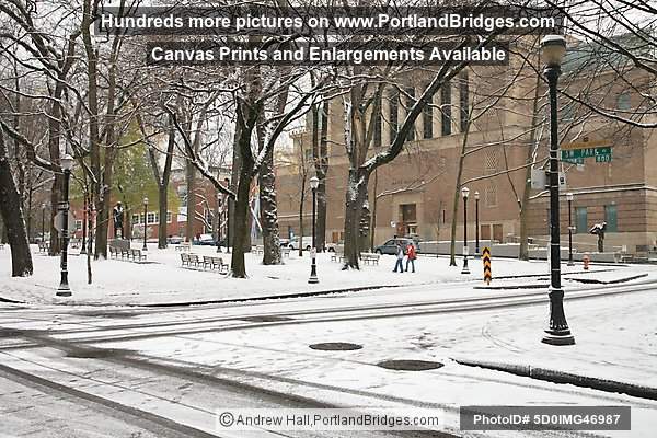 Portland SW Park Blocks, Snow