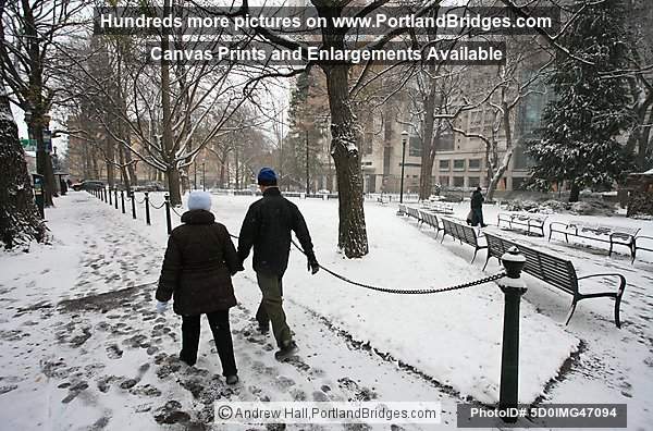 Chapman Square, Snow, 2008 (Portland, Oregon)