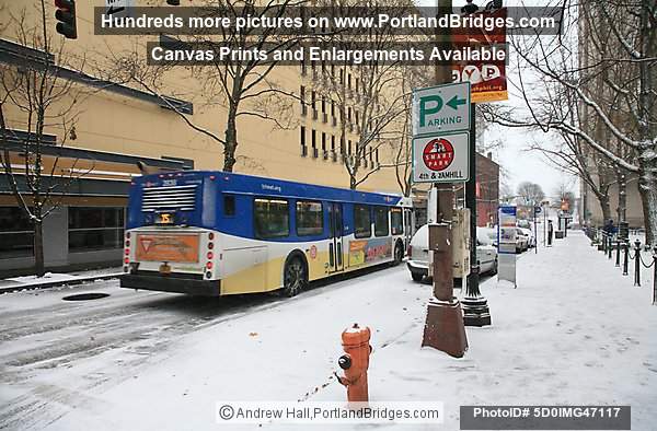 Trimet Bus, Snow, 2008 (Portland, Oregon)