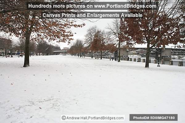 Tom McCall Waterfront Park, Snow, 2008 (Portland, Oregon)