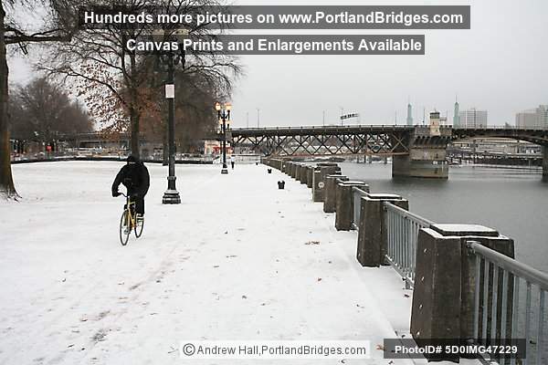 Snow, Tom McCall Waterfront Park, 2008 (Portland, Oregon)
