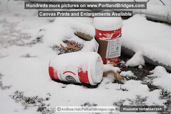 Starbucks Coffee Cups with Snow (Portland, Oregon)