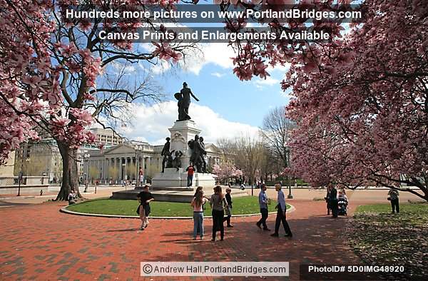 Lafayette Square, Spring Blossoms, US Treasury Building, Washington, DC