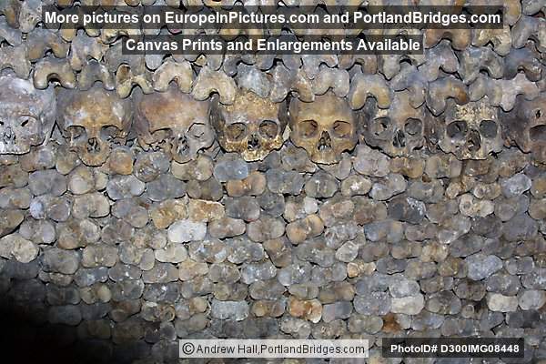 Skulls, Catacombs of Paris