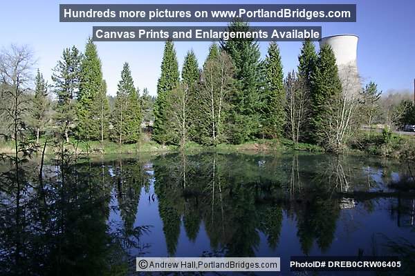 Former Trojan Nuclear Power Plant, Water Reflections