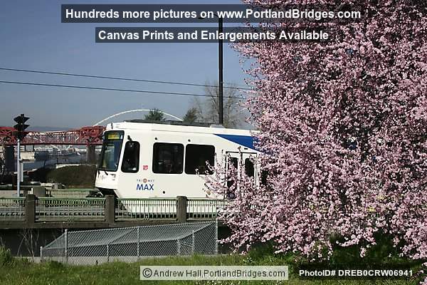 Spring Blossoms, MAX Train, Rose Quarter (Portland, Oregon)