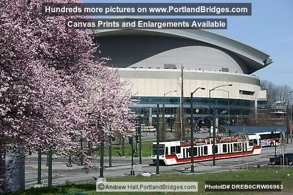 Spring Blossoms, MAX Train, Rose Garden Arena (Portland, Oregon)