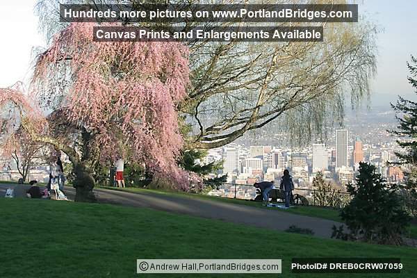Spring Blossoms at Pittock Mansion (Portland, Oregon)