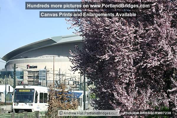 Rose Garden Arena, MAX Train, Spring Blossoms, Daytime (Portland, Oregon)