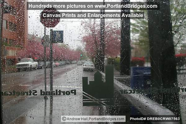 NW Portland, Rainy, Waiting for Streetcar