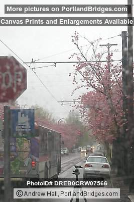 NW Portland, Rainy, Waiting for Streetcar
