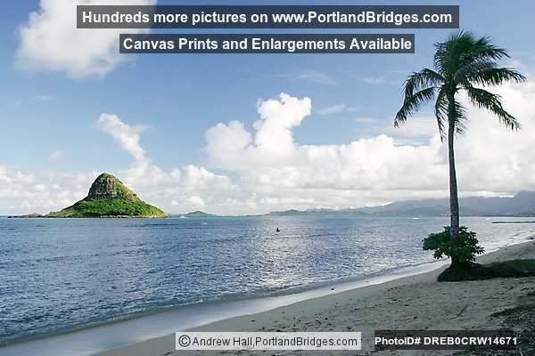 Oahu, Hawaii: Chinaman's Hat