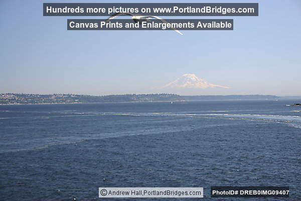 Mt. Rainier from Elliot Bay