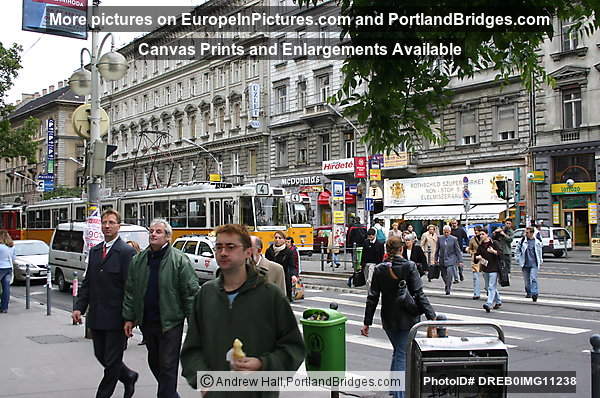 Budapest Street View, Tram