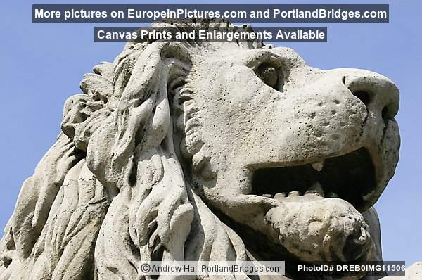 Budapest  Chain Bridge, Lion