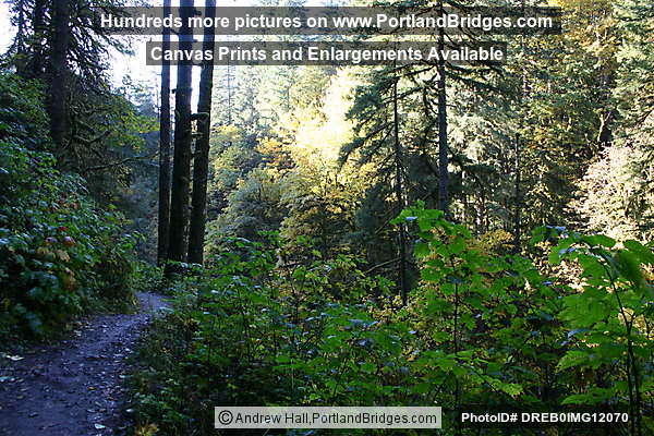 Silver Falls State Park