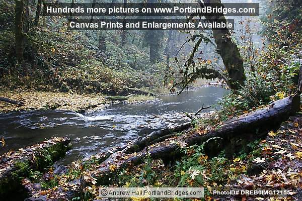 Silver Falls State Park