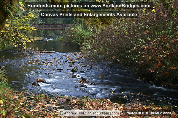 Silver Falls State Park:  Silver Creek
