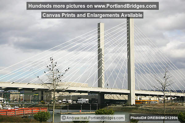 SR 509 Bridge, Tacoma