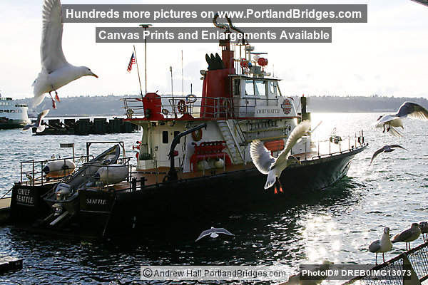 Seattle Gulls, Docks, Fire Boat
