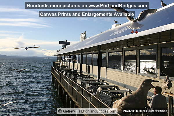 Seattle Gulls, Docks