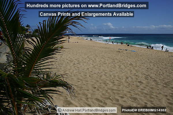 Oahu, Hawaii:  Sandy Beach
