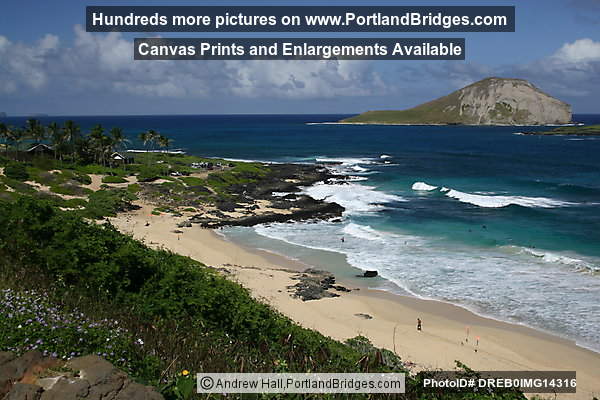 Oahu, Hawaii:  Makapu'u Beach Park
