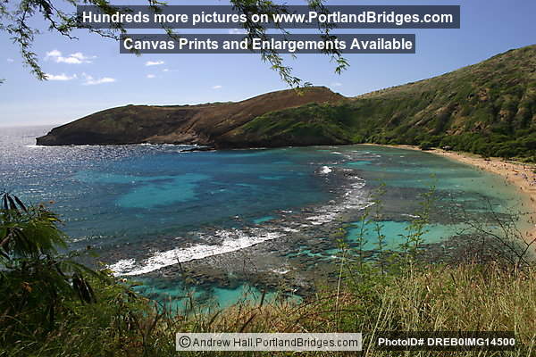Oahu, Hawaii:  Hanauma Bay