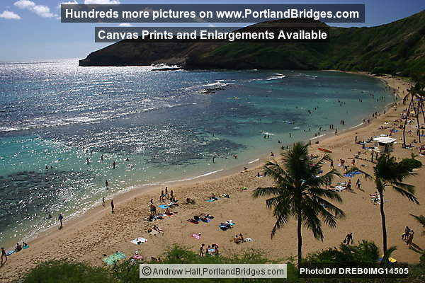 Oahu, Hawaii:  Hanauma Bay