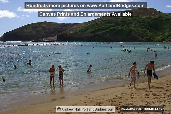 Oahu, Hawaii:  Hanauma Bay Beach