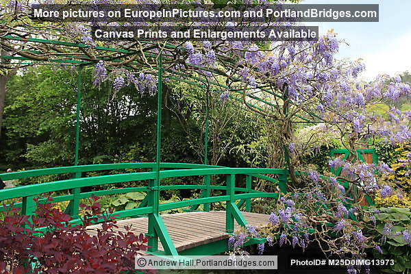 Monet's Garden: Bridge over Lily Pond, Giverny