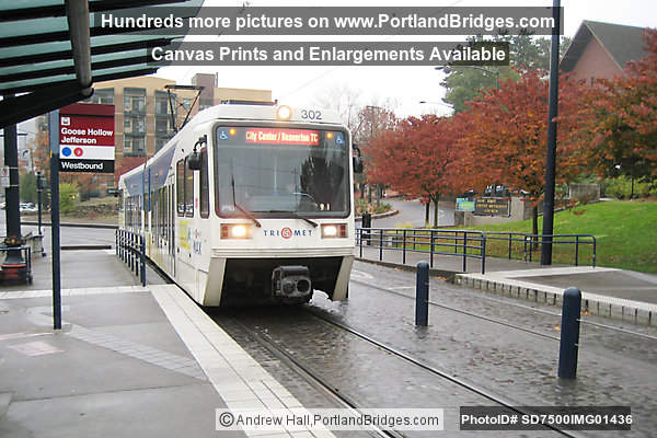 MAX at Goose Hollow (Portland, Oregon)