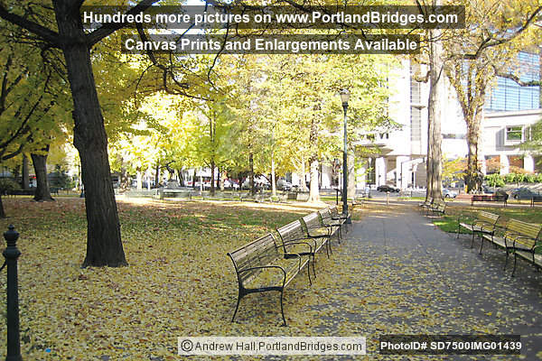 Lownsdale Square, downtown Portland