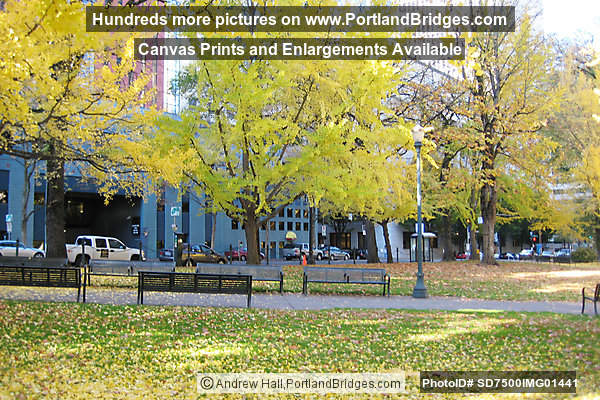 Lownsdale Square, downtown Portland