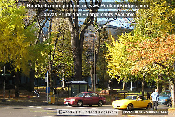 Near Lowquare, downtown Portland