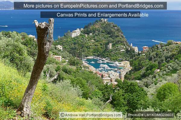 View of Portofino, Italy from above