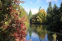 Portland Laurelhurst Park, Fall Colors 