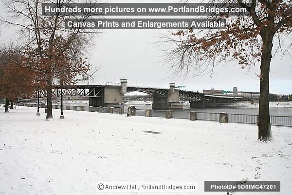 Tom McCall Waterfront Park, Snow, Morrison Bridge, 2008 (Portland, Oregon)