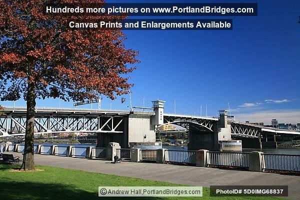 Morrison Bridge, Fall Leaves (Portland, Oregon)