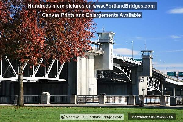 Morrison Bridge, Fall Leaves (Portland, Oregon)