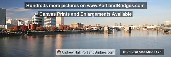 Morrison Bridge, Willamette River, Panoramic (Portland, Oregon)